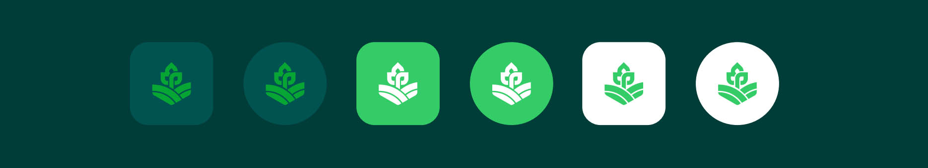 Banner Campo en Mano